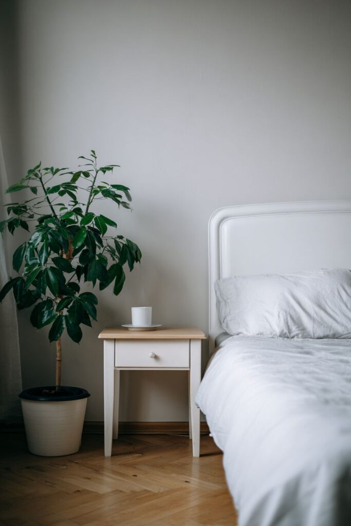 Zen Japanese-Inspired Minimalism