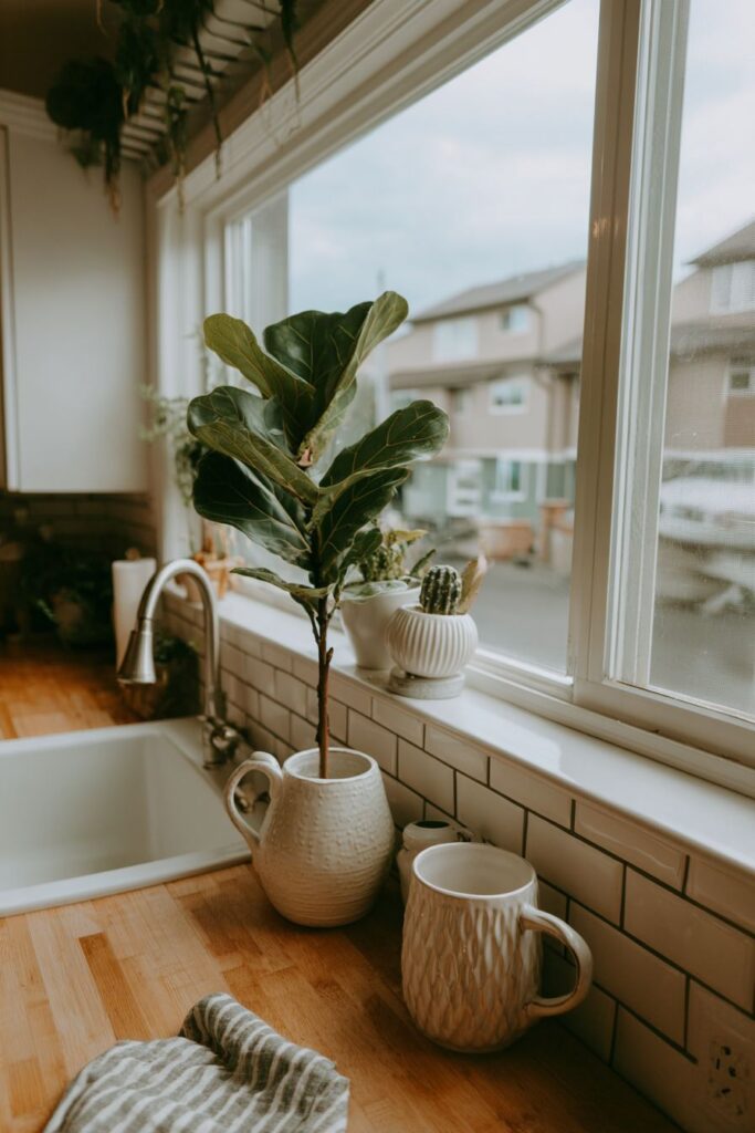 Scandinavian Serenity and Natural Beauty