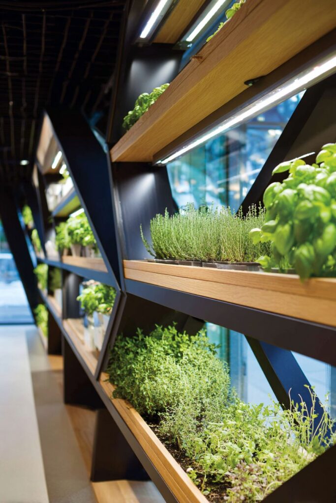 Modern Geometric Herb Garden Shelving