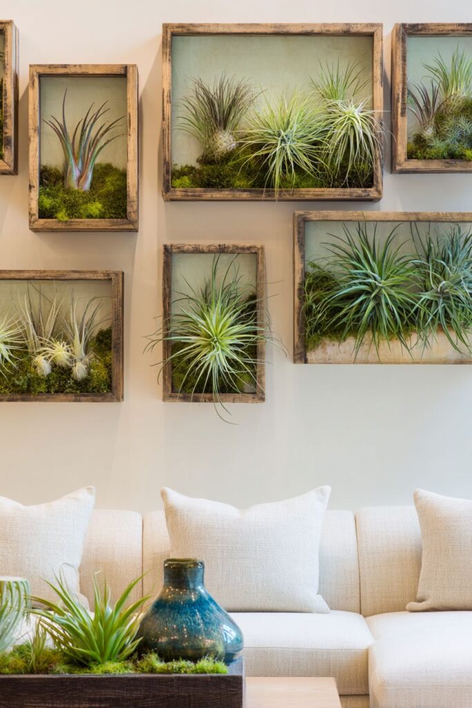 Living Botanical Gallery with Shadow Boxes