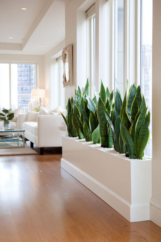 Integrated Biophilic Design