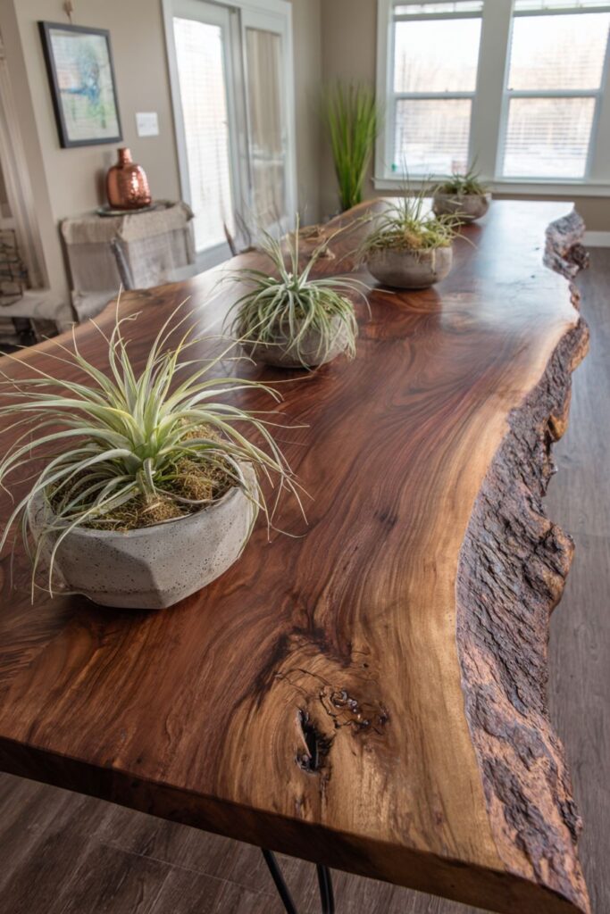 Rustic Modern Fusion