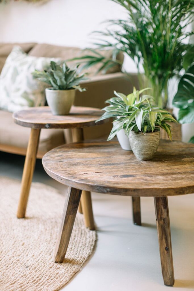 Sustainable Materials Focus