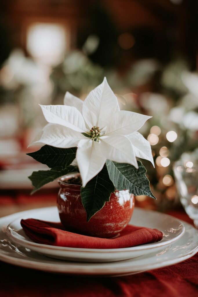 Small Space Urban Solutions