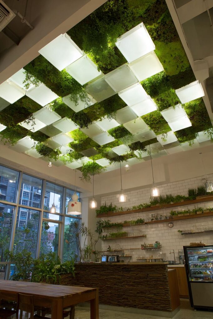 Living Ceiling Garden Systems
