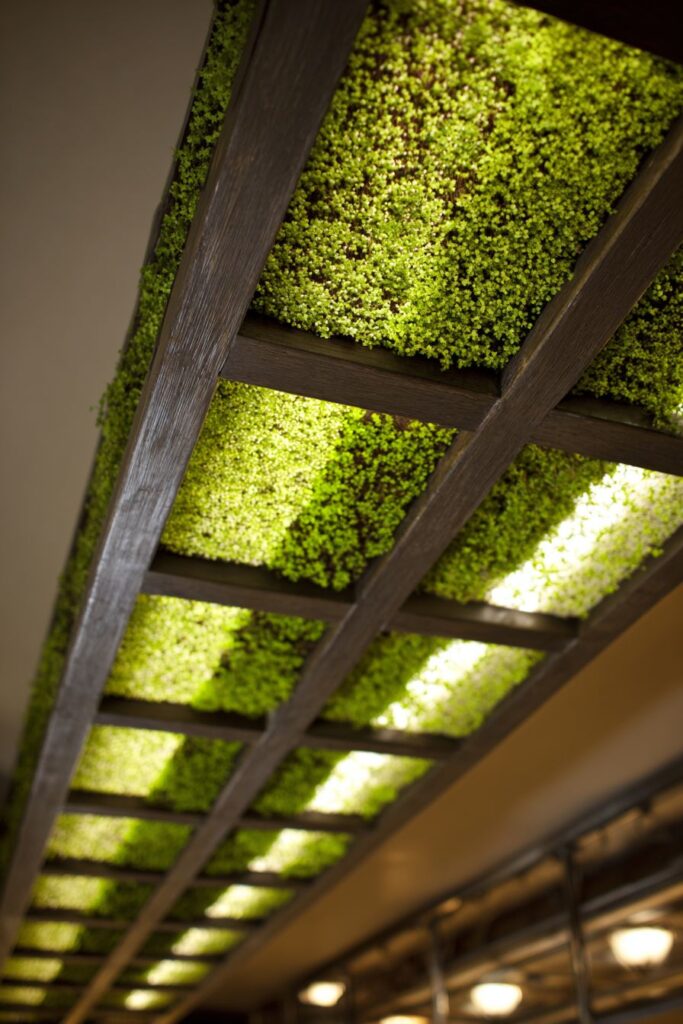 Living Ceiling Garden Systems