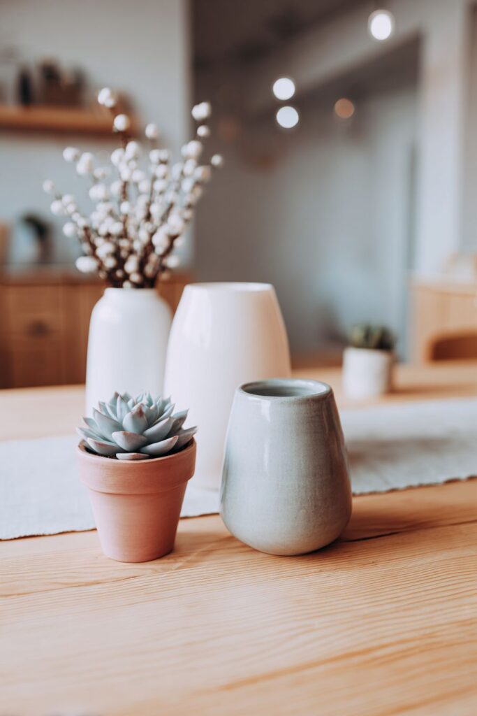 Scandinavian Simplicity and Function