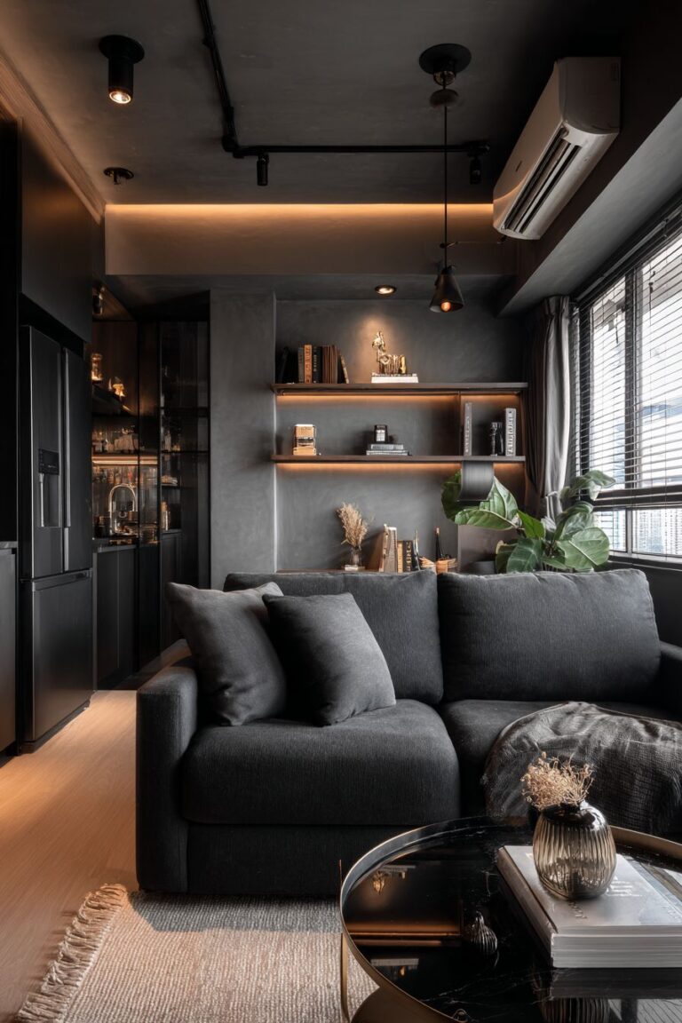 Black Couch Living Room Ideas