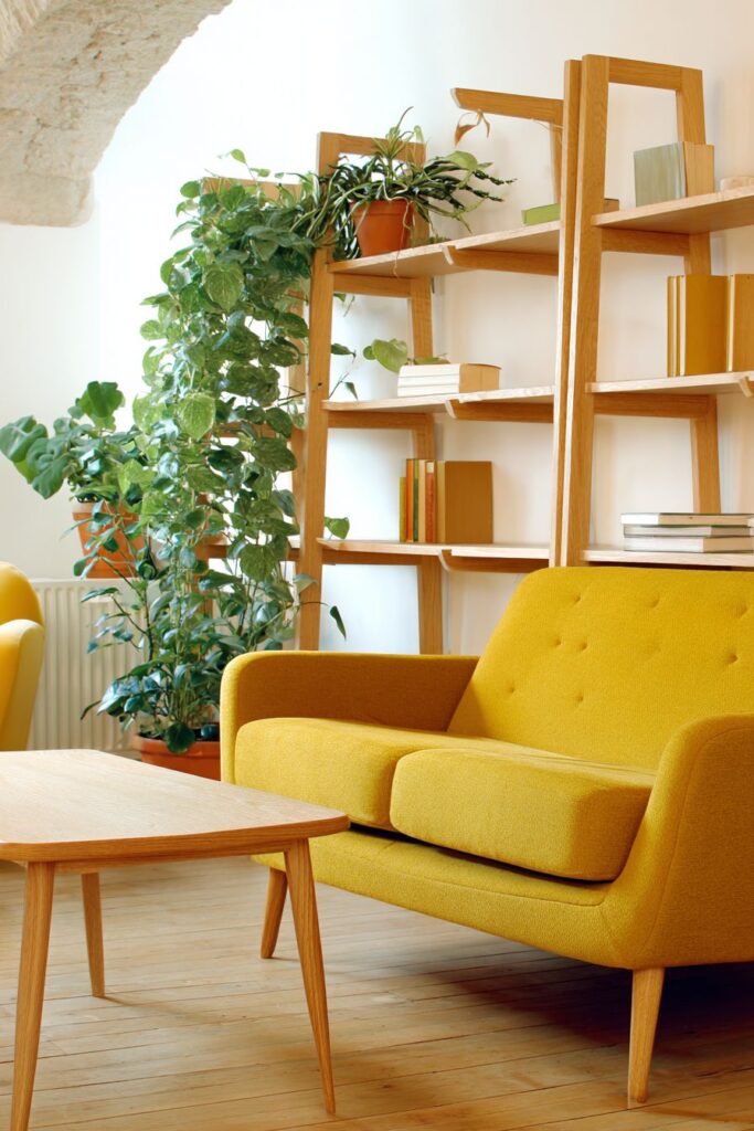 Mid-Century Modern Color Pop