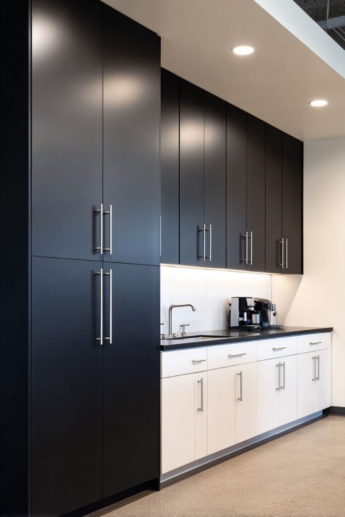  Bold Contemporary Black and White Contrast Cabinets