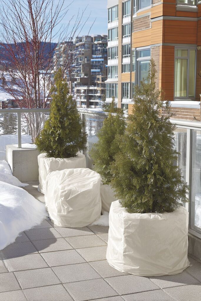 Thoughtful Patio Transition