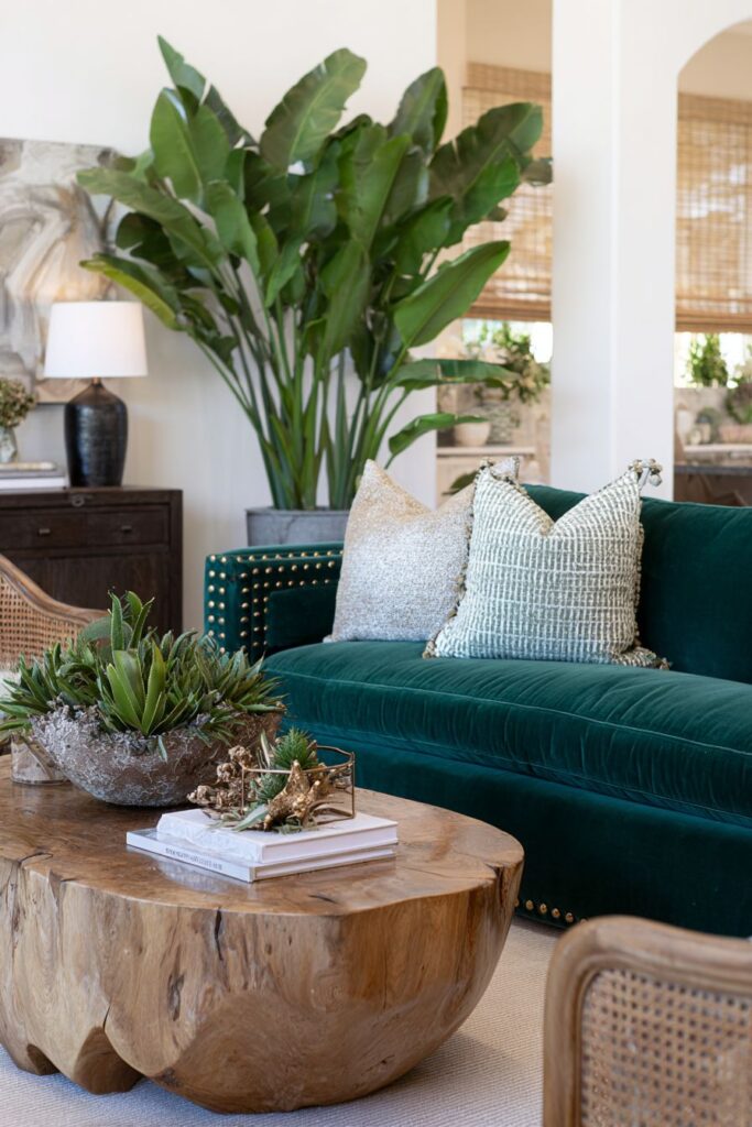 Tropical Indoor Jungle Atmosphere